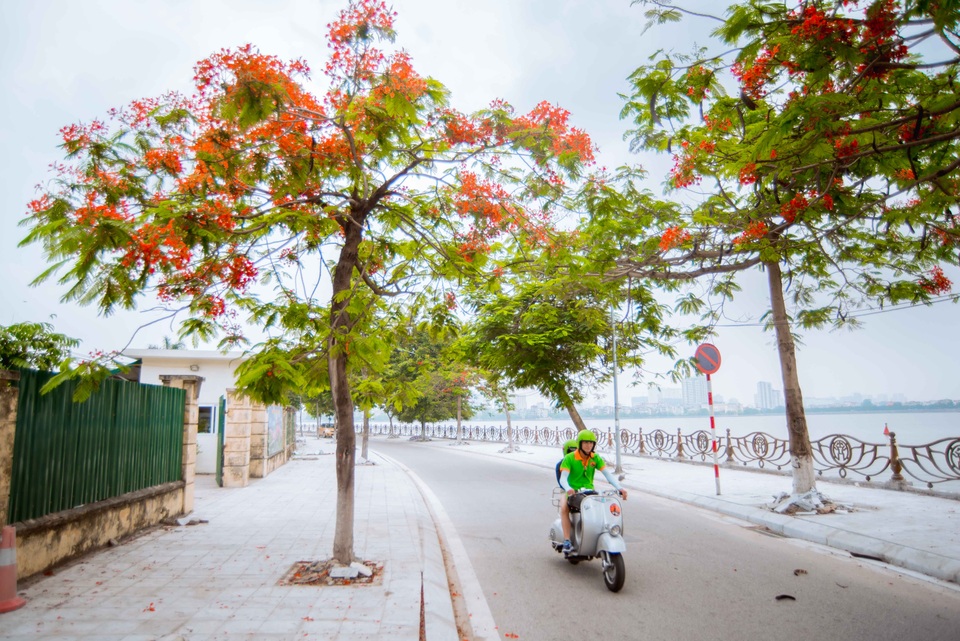 Những con đường trở nên đẹp và thơ mộng nhờ màu đỏ của phượng vĩ