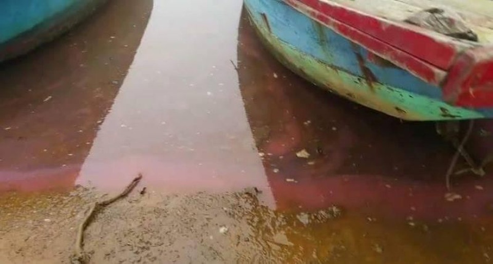 Lại xuất hiện dải nước đỏ dài 30m, kéo loang trên biển - 1 Lại xuất hiện dải nước đỏ dài 30m, kéo loang trên biển - 1