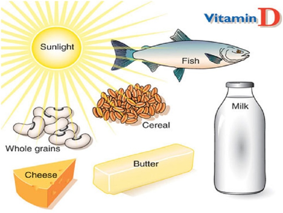 Tăng lượng vitamin D hoạt tính có thể giúp cơ bắp khỏe mạnh, săn chắc - 1
Tăng lượng vitamin D hoạt tính có thể giúp cơ bắp khỏe mạnh, săn chắc