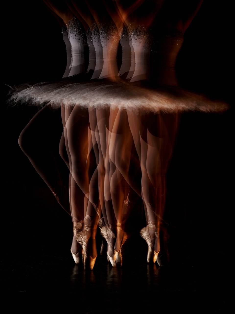 Thiên Nga là tác phẩm đoạt Huy chương Vàng hạng mục ảnh tự do, cuộc thi ảnh Nghệ thuật Quốc tế lần thứ 9 tại Việt Nam năm 2017 (VN-17).