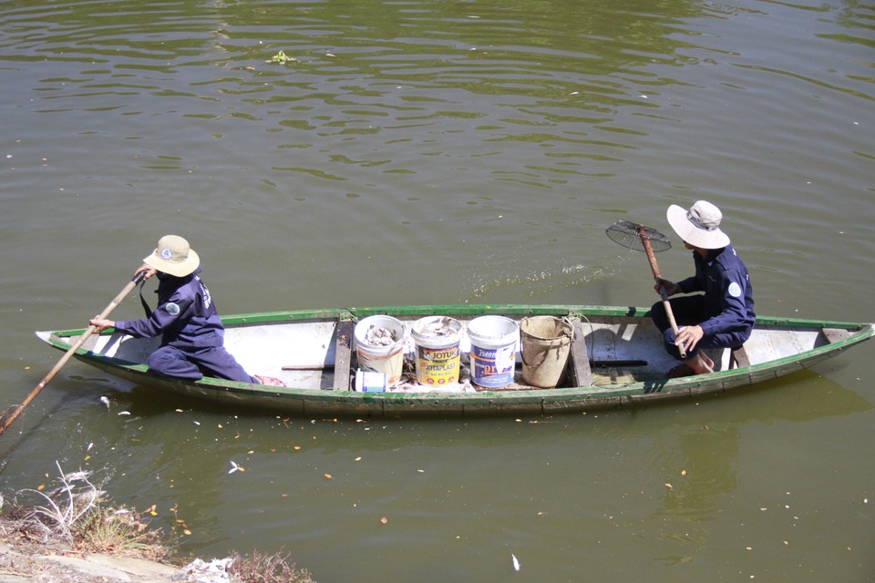 Công nhân vớt cá chết trên sông Phú Lộc