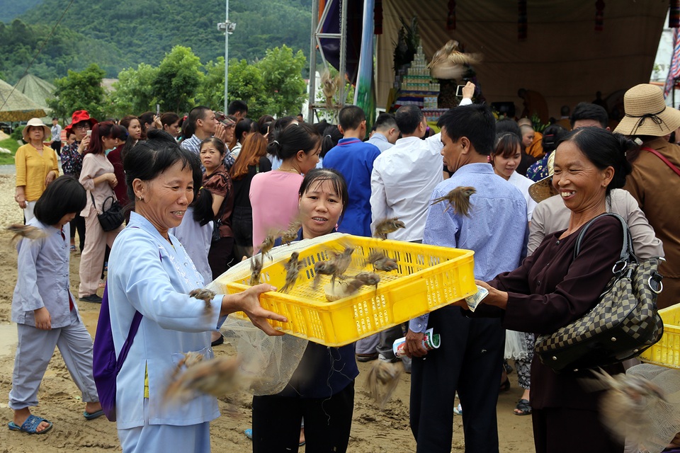 Những khoảnh khắc xúc động trong lễ Vu Lan ở Tây Thiên - 13 Những chú chim được phóng sinh tại khóa lễ.