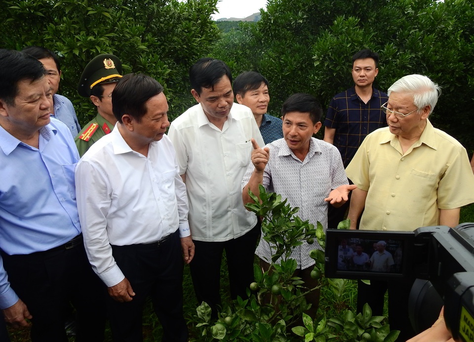 Tổng Bí thư thiện cảm với cái tên Hòa Bình, Phong Phú, Tân Lạc - 1
Tổng Bí thư thăm vườn cam ở Hòa Bình.