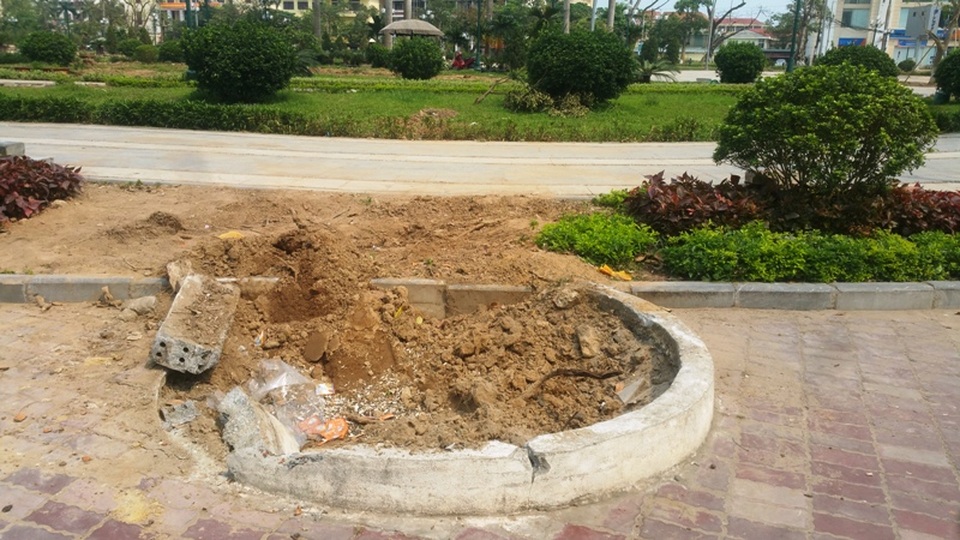 Ngổn ngang, bộn bề gạch đất sau khi các cây xanh được di chuyển