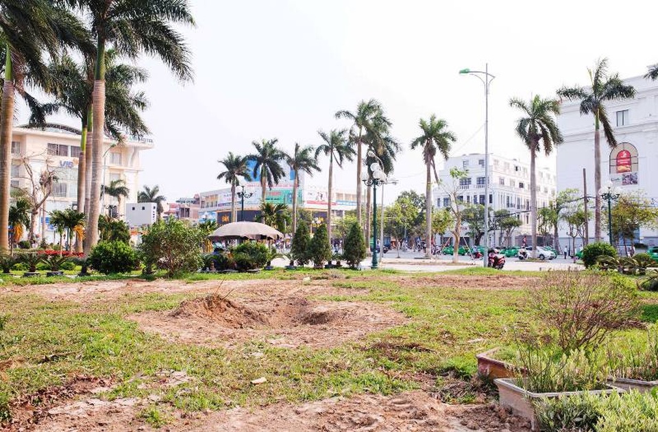 Ở vườn hoa thành phố Thái Bình giờ toàn... hố cây