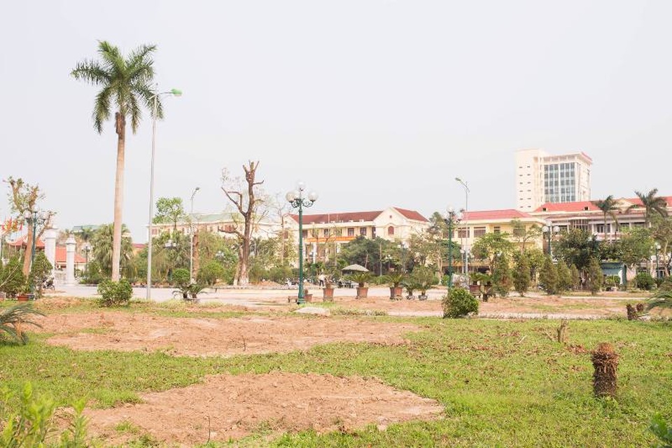 Hơn 200 cây xanh lâu năm được di chuyển khỏi vườn hoa Thái Bình khiến không gian nơi đây bỗng chốc trống rỗng