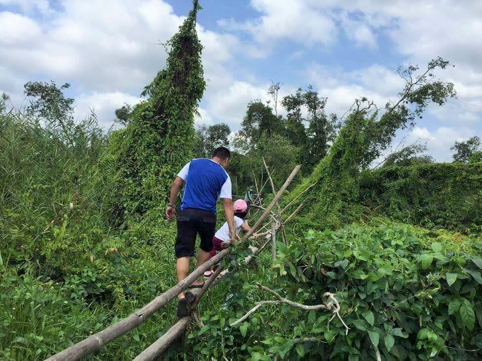 Ngắm phong cảnh hữu tình của vườn quốc gia đẹp nhất nhì Việt Nam - 8 Ảnh: Vườn Quốc Gia U Minh Thượng