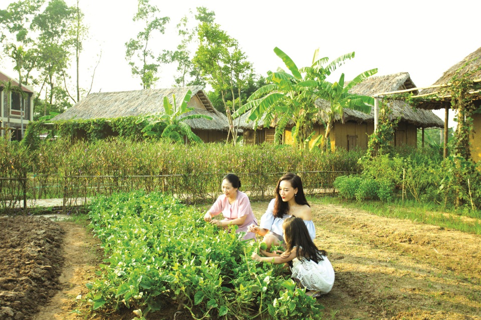 Khám phá điểm nghỉ dưỡng nâng tầm cuộc sống dành cho người cao tuổi - 4 Khám phá điểm nghỉ dưỡng nâng tầm cuộc sống dành cho người cao tuổi - 4