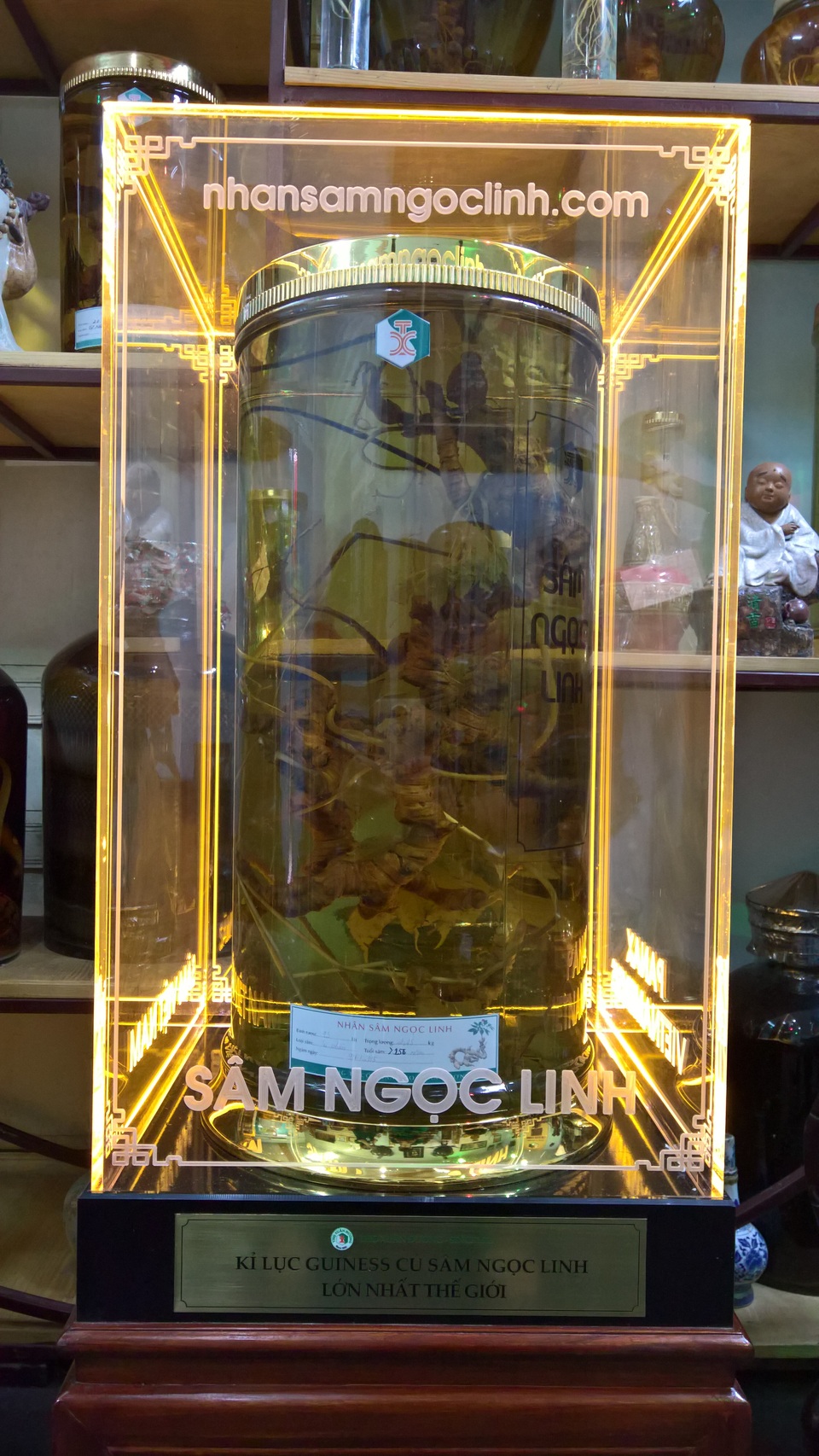 Cận cảnh củ sâm Ngọc Linh quý hiếm bậc nhất hiện nay.