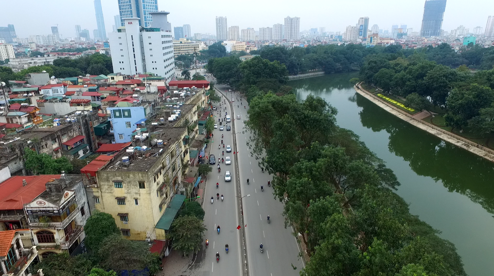 Hà Nội cân nhắc thay thế hơn 4.000 cây xà cừ trong nội thành - 1 Hàng xà cừ trên đường Kim Mã đã được đánh chuyển về vườn ươm (Ảnh: Hà Trang)