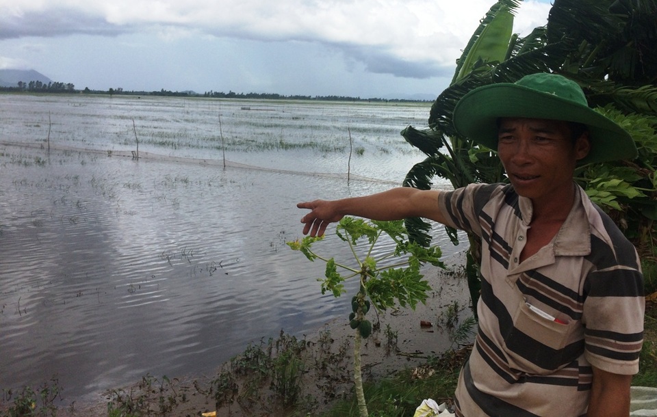 Miền Tây xả nước, gom phù sa cứu hàng ngàn ha lúa - 2 Theo anh Sơn và nhiều người dân khác, bà con canh tác ngoài đê như anh rất cần dự báo mực nước của ngành chức năng để gieo sạ hay cho đất nghỉ ngơi. Làm được việc này, người dân không thua lỗ khi nước về sớm như năm nay