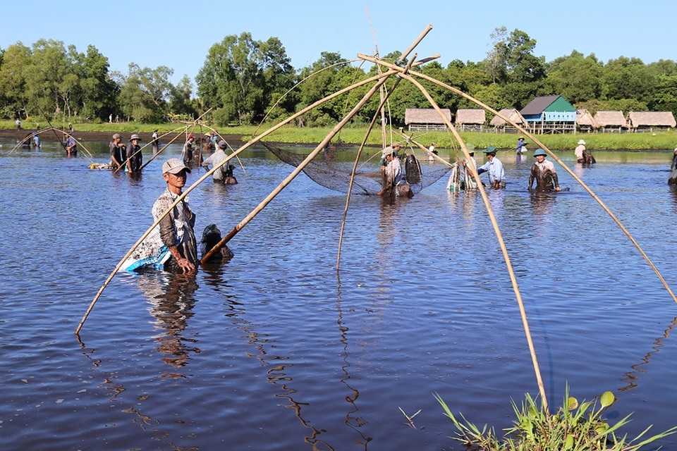 Hàng trăm người tham gia hội “phá trằm” duy nhất một lần trong năm - 2 Ông Cáp Hữu Hanh, Trưởng Ban quan lý Khu du lịch sinh thái Trằm Trà Lộc cho biết, lễ hội “phá trằm” bắt cá đã có từ 400- 500 năm về trước. Việc tổ chức lễ hội “phá trằm” nhằm mục đích phục vụ, cải thiện bữa ăn cho dân làng, đồng thời đây cũng là dịp để nạo vét, vệ sinh, thay đổi mực nước để cảnh quan lòng hồ Trà Lộc được xanh- sạch- đẹp.
