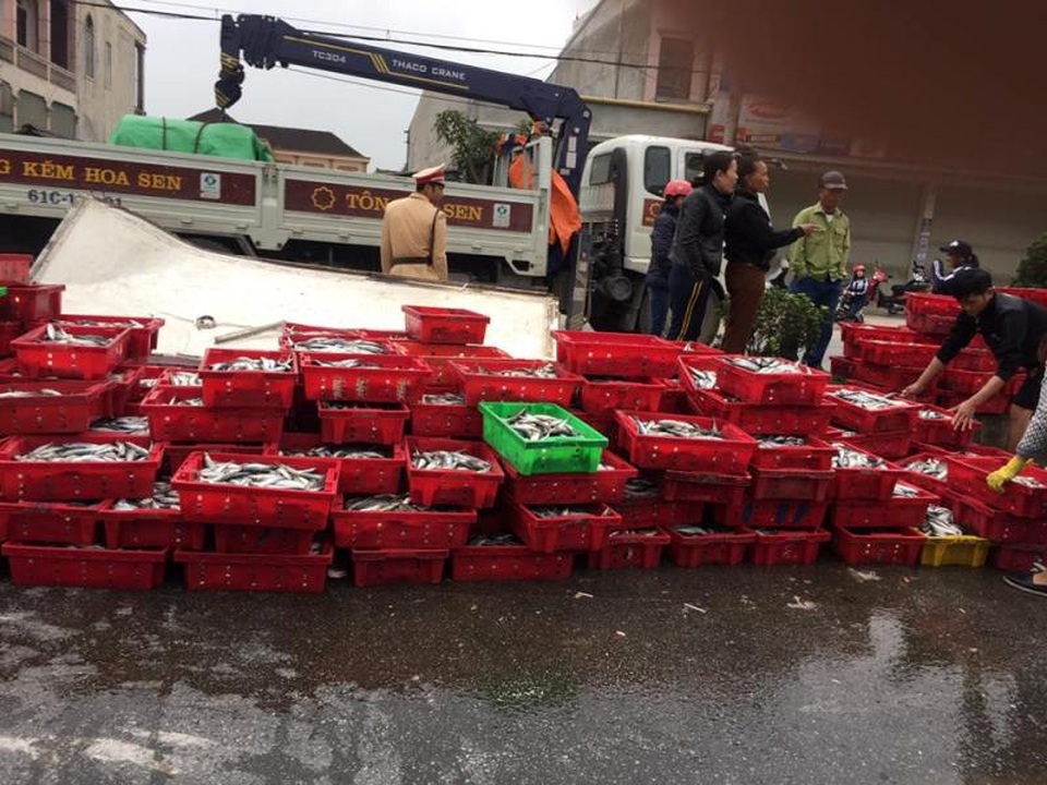 Hàng chục người dân thu gom cá giúp tài xế gặp nạn - 2