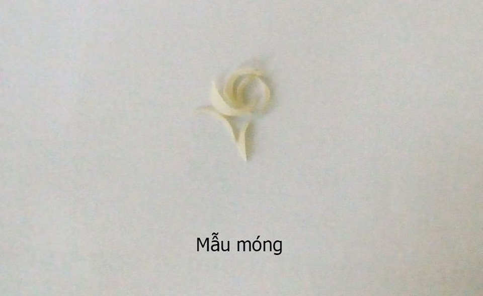Kết quả xét nghiệm ADN và cái giá "một tỷ đô" khiến khách sững sờ - 1 Mẫu móng tay dùng trong công tác xét nghiệm ADN (Ảnh: Nhân vật cung cấp)