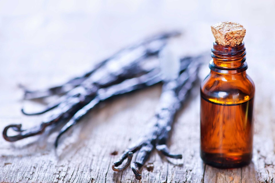 8 thực phẩm phòng và trị muỗi đốt hiệu quả - 7