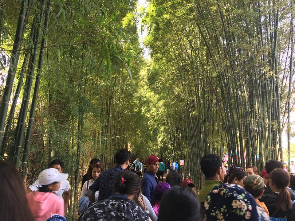 Người dân nô nức du xuân đầu năm