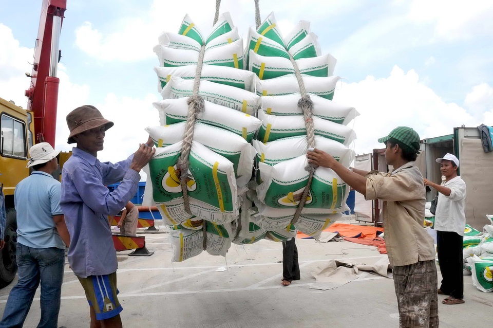 VCCI cảnh báo nguy cơ "phân chia địa bàn" trong xuất khẩu gạo - 1 Kinh doanh xuất khẩu gạo