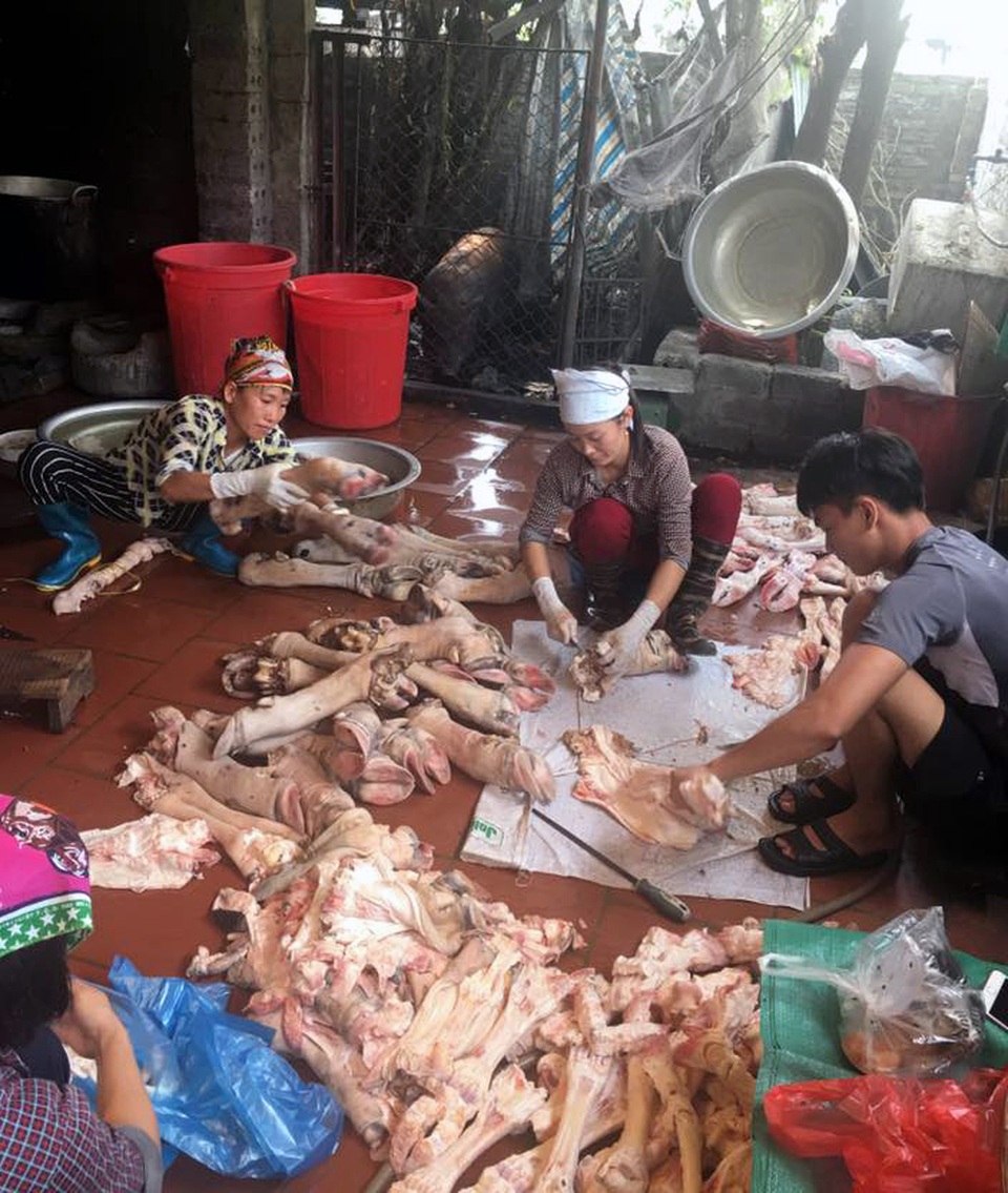 Hà Nội: Hơn 1 tấn xương trâu, bò thối chuẩn bị đưa đến quán bún phở - 2 Việc kinh doanh, sơ chế tại cơ sở không có chứng nhận vệ sinh an toàn thực phẩm.