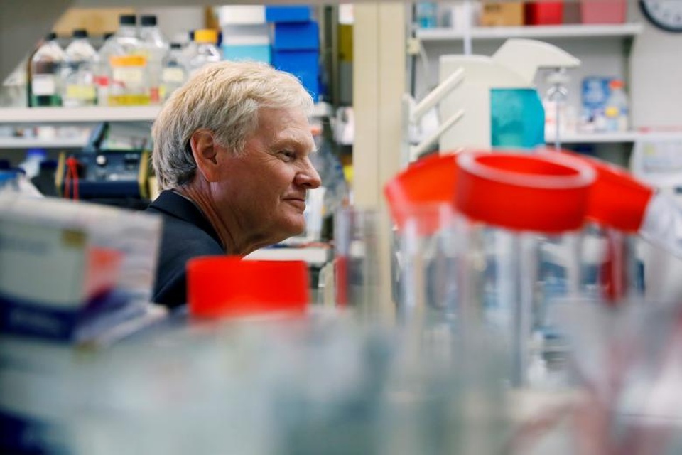 Những gương mặt ẵm giải Nobel 2017 - 9 Tương tự giải Nobel Vật lý, giải Nobel Y học 2017 cũng được trao đồng thời cho 3 nhà khoa học là Jeffrey C. Hall, Michael Rosbash và Michael W. Young vì những phát hiện của họ về gene kiểm soát nhịp sinh học, hay còn gọi là đồng hồ sinh học. Bằng cách sử dụng ruồi giấm để làm mô hình cá thể mẫu để nghiên cứu, 3 nhà khoa học đã phân tách được gen kiểm soát nhịp sinh học hàng ngày và phát hiện ra rằng gen này đã mã hóa protein được tích tụ trong tế bào vào buổi đêm và sau đó giảm dần vào ban ngày. Trong ảnh: Nhà khoa học Michael W. Young làm việc trong phòng nghiên cứu tại Đại học Rockeffler ở New York, Mỹ.