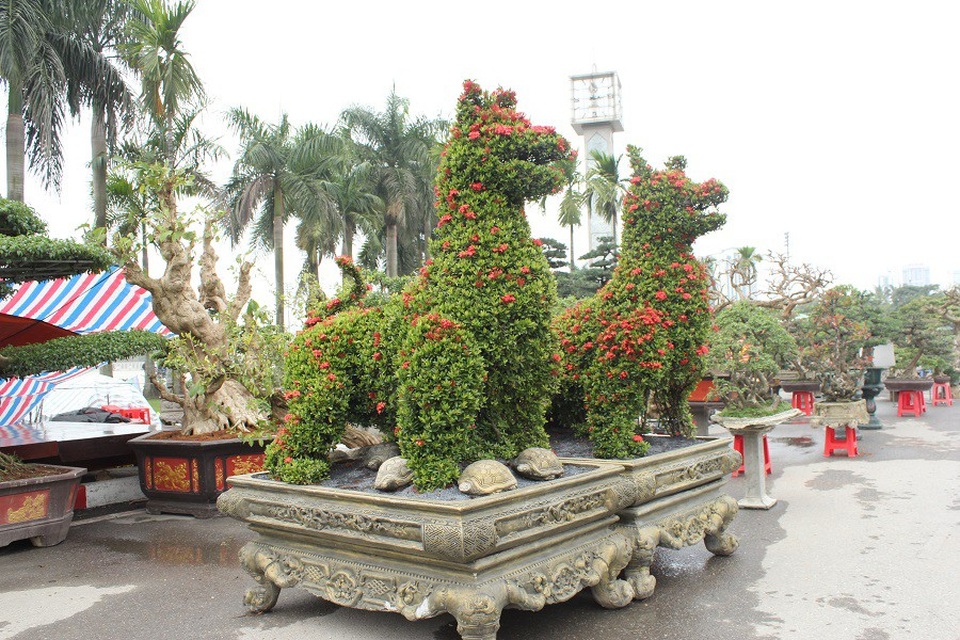 Phát sốt với cặp kiểng “khổng lồ” hình linh vật chó giá 300 triệu đồng - 1 Mới đây tại một triển lãm sinh vật cảnh diễn ra ở Mỹ Đình (Hà Nội), cặp kiểng “khủng” hình linh vật chó của anh Hoàng Trung (Thanh Hóa) nhận được sự chú ý đặc biệt của người xem. Theo đó, cặp kiểng cao khoảng 2,5m, dài 1m6 và nặng 1 tấn được vận chuyển bằng xe cẩu trọng tải lớn ra Hà Nội. Được biết, để hoàn thành cặp kiểng này, các nghệ nhân phải uốn thế, tạo kiểu ròng rã trong vòng 10 năm.