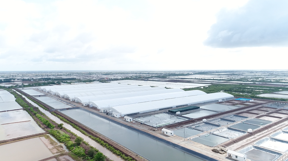 Triển vọng đột phá từ những mô hình trang trại công nghệ cao - 3 Triển vọng đột phá từ những mô hình trang trại công nghệ cao - 3