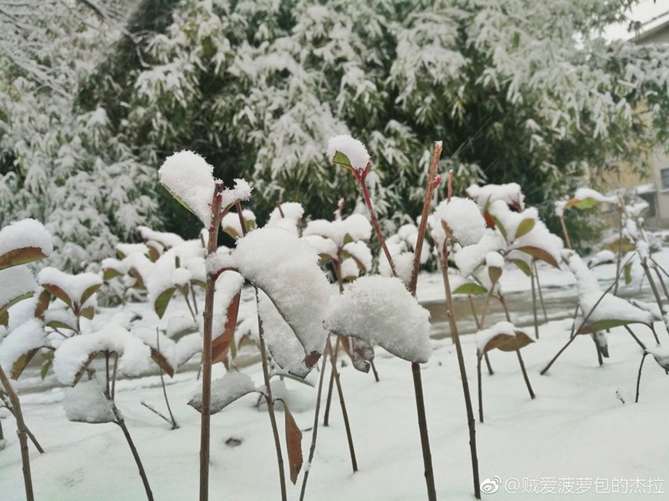 Tuyết phủ trắng Thường Châu, nơi U23 Việt Nam tranh tài - 7