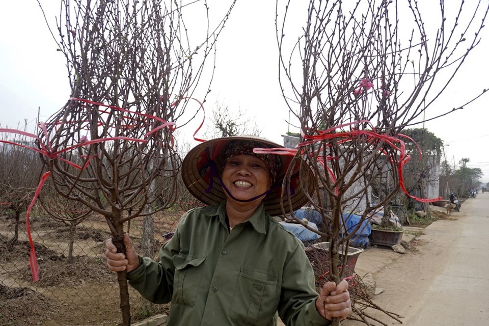 
Bà Nhuận tươi cười cầm trên tay những cành đào thu hoạch sớm đang được bán ngay tại vườn.
