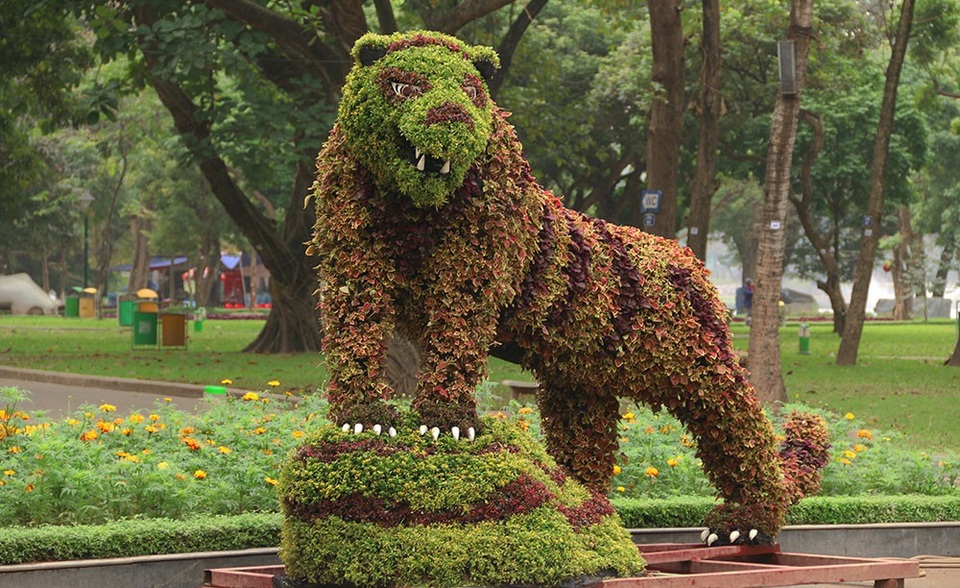 Chú hổ vằn với các cây tía đỏ trên lưng, hình dáng uyển chuyển thể hiện sư oai phong của vị chúa sơn lâm rừng xanh.