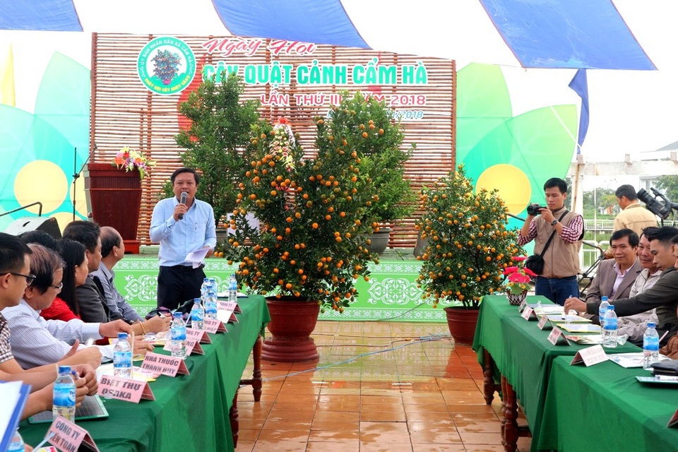 Ngày hội quất Tết ở làng quất trăm năm tuổi - 16 Ngày hội còn tổ chức phiên đấu giá quất cảnh, số tiền trong buổi đấu giá sẽ dùng để ủng hộ, giúp đỡ người nghèo trên địa bàn có cái tết ấm no, sung túc hơn