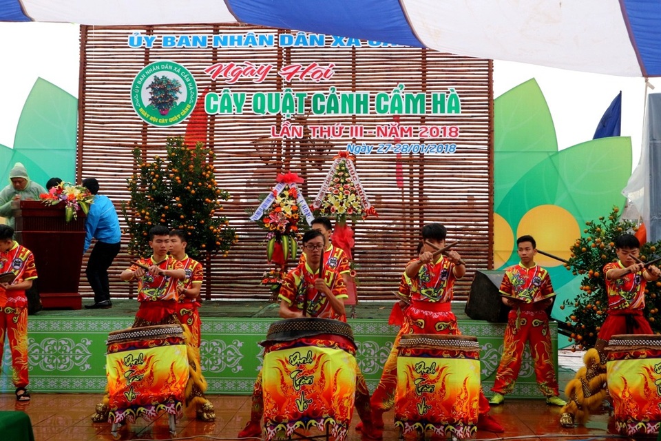 Ngày hội quất Tết ở làng quất trăm năm tuổi - 2 Nhộn nhịp lễ hội quất cảnh Cẩm Hà lần 3 năm 2018 tại Hội An