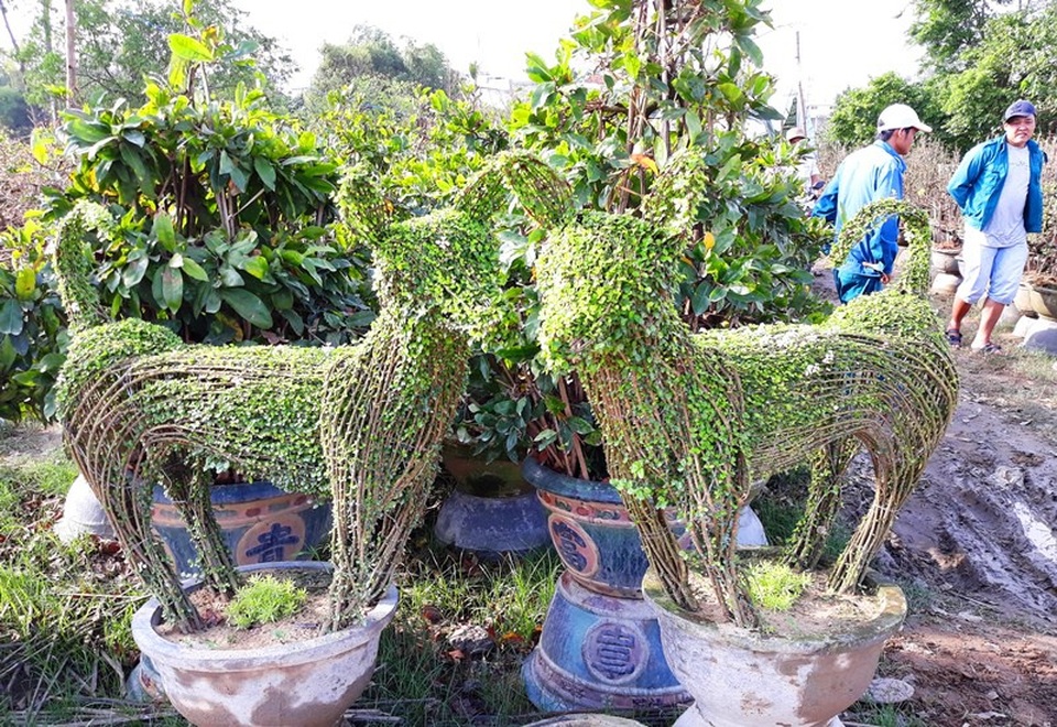 Ngoài ra, dịp này nhà vườn cũng trình làng những tác phẩm nghệ thuật độc lạ phục vụ nhu cầu người chơi cây cảnh dịp Tết (trong ảnh cặp chó bằng cây cảnh có giá 4 triệu đồng).