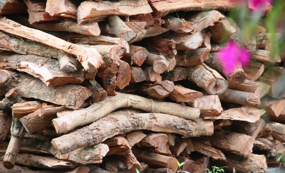 Nồi cá kho đặc biệt của làng Vũ Đại - 8 Củi nấu cá kho Đại Hoàng bắt buộc là củi nhãn
