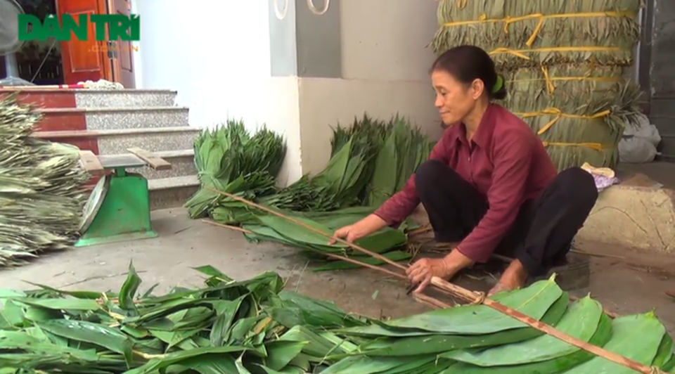 Nhiều nông dân kiếm trăm triệu nhờ trồng sim, “nhặt lá” tre rừng - 1 Trung bình mỗi vụ cơ sở chị Triệu xuất khoảng 100 - 200 tấn lá tre sang nước ngoài cho thu nhập không hề nhỏ. Ảnh: Hà Trang