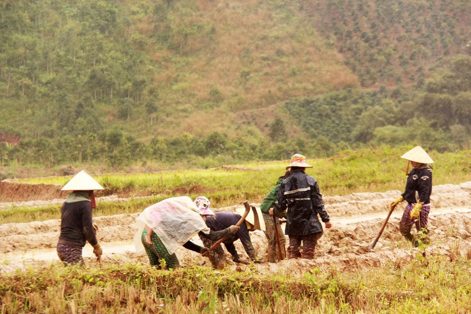 Cận cảnh cuộc sống mưu sinh dưới chân núi Ngọc Linh - 3 Những người phụ nữ Xê-Đăng cần mẫn làm việc dưới chân núi Ngọc Linh
