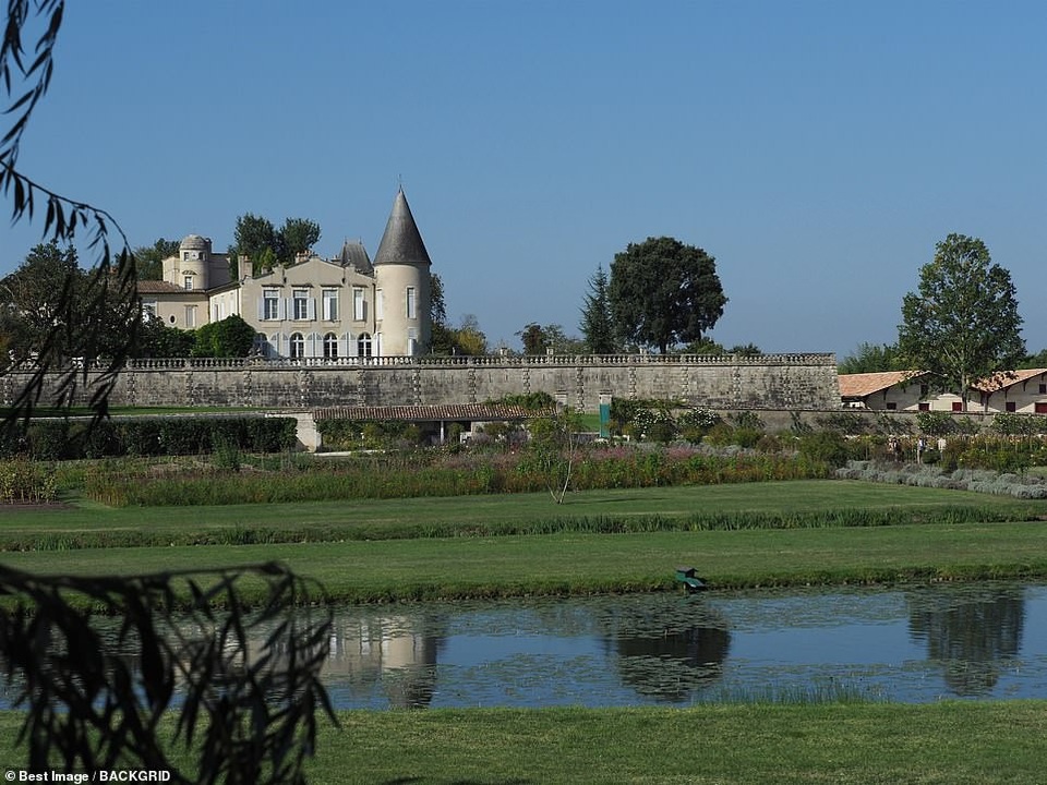 
Quang cảnh bình yên tuyệt đẹp của vườn nho
