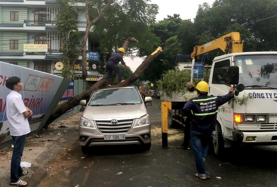 TPHCM: Cây xanh bật gốc đè bẹp ô tô - 3 TPHCM: Cây xanh bật gốc đè bẹp ô tô - 3