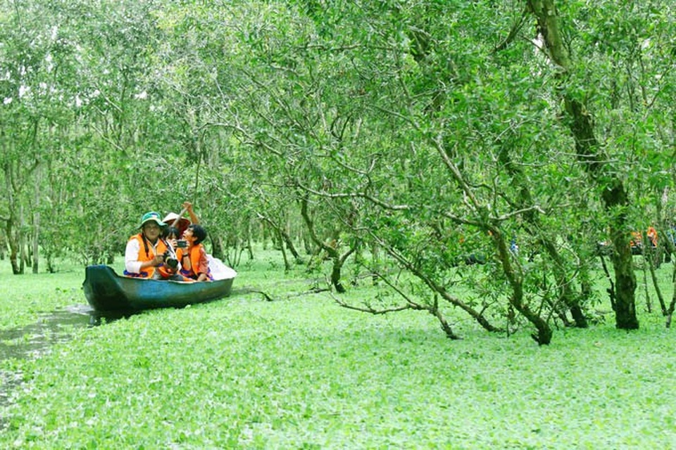 An Giang: Rừng tràm Trà Sư đẹp nhất mùa nước nổi - 6 An Giang: Rừng tràm Trà Sư đẹp nhất mùa nước nổi - 6