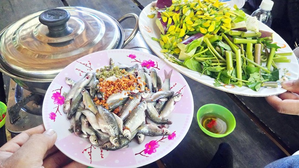 An Giang: Rừng tràm Trà Sư đẹp nhất mùa nước nổi - 9 An Giang: Rừng tràm Trà Sư đẹp nhất mùa nước nổi - 9