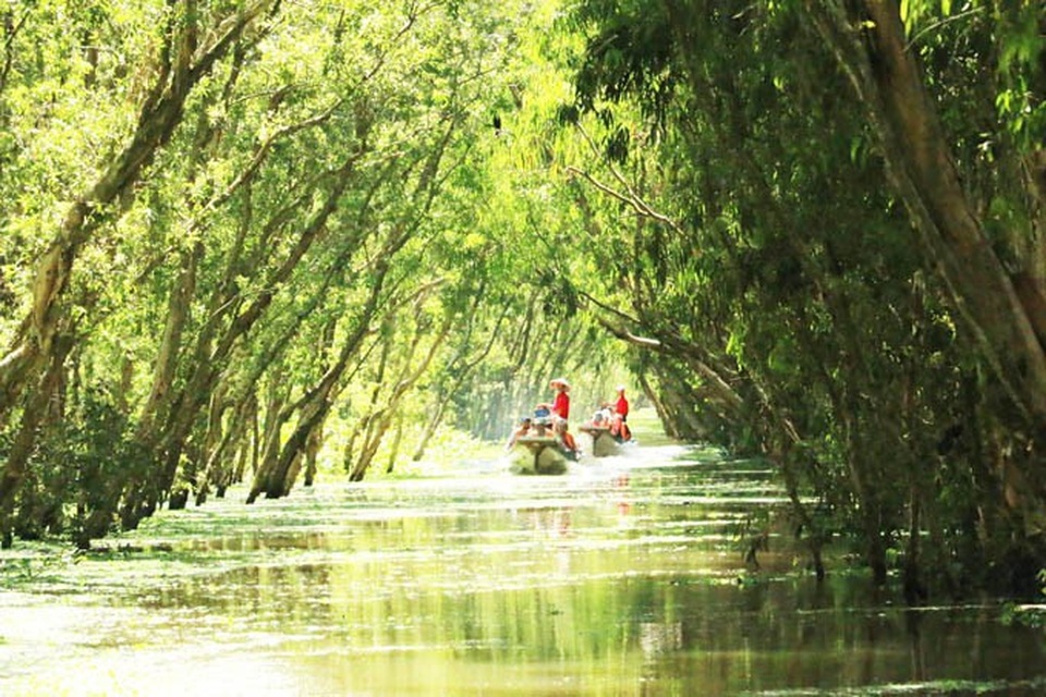 An Giang: Rừng tràm Trà Sư đẹp nhất mùa nước nổi - 10 An Giang: Rừng tràm Trà Sư đẹp nhất mùa nước nổi - 10