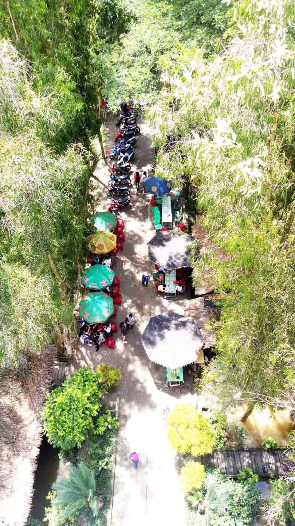 An Giang: Rừng tràm Trà Sư đẹp nhất mùa nước nổi - 14 An Giang: Rừng tràm Trà Sư đẹp nhất mùa nước nổi - 14
