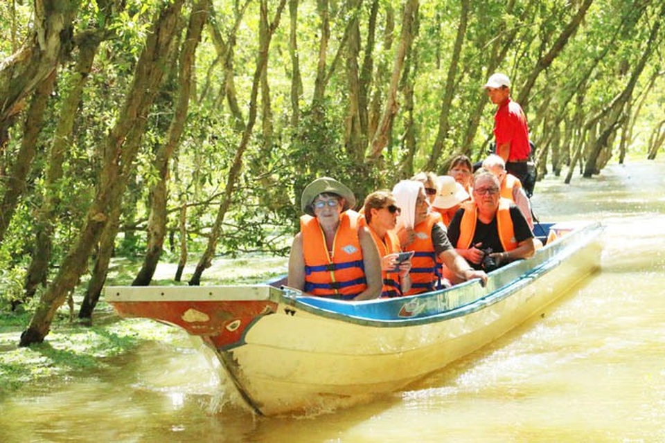 An Giang: Rừng tràm Trà Sư đẹp nhất mùa nước nổi - 3 An Giang: Rừng tràm Trà Sư đẹp nhất mùa nước nổi - 3