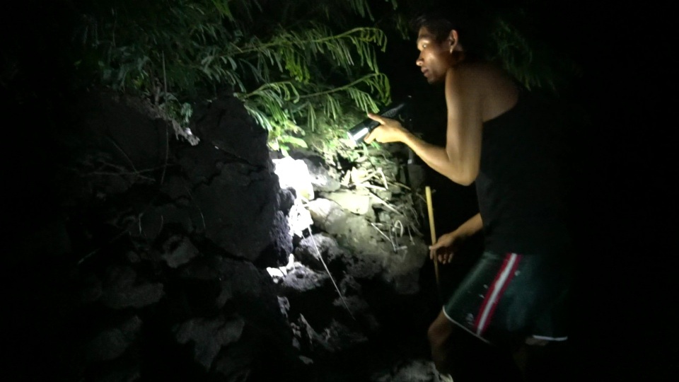 Theo anh Đặng Văn Sâm (đảo Bé, huyện đảo Lý Sơn), cua đá ẩn mình trong các hốc đá đến đêm mới bò xuống biển. Để bắt cua phải đi vào ban đêm, đây là thời điểm cua bò ra ngoài để đẻ hoặc kiếm ăn.