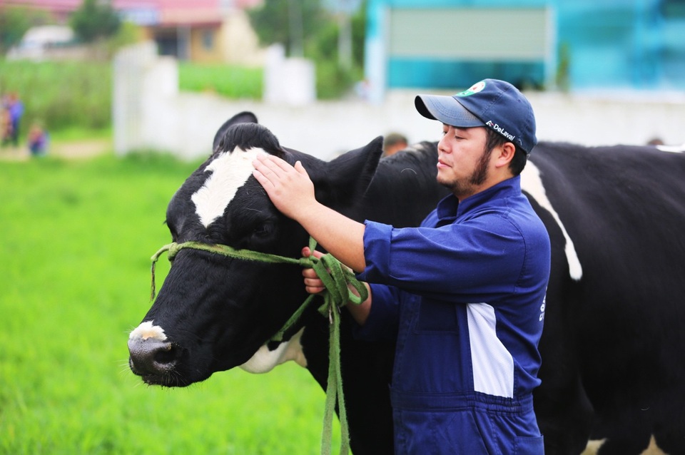 Hoa hậu Bò Sữa 2018: 15 năm tôn vinh người nông dân và đàn bò - 2 Hoa hậu Bò Sữa 2018: 15 năm tôn vinh người nông dân và đàn bò - 2
