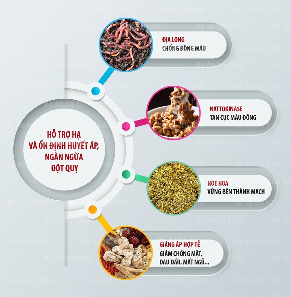 Các dược liệu Đông y giúp ngủ ngon và hạ huyết áp hiệu quả cho bệnh cao huyết áp