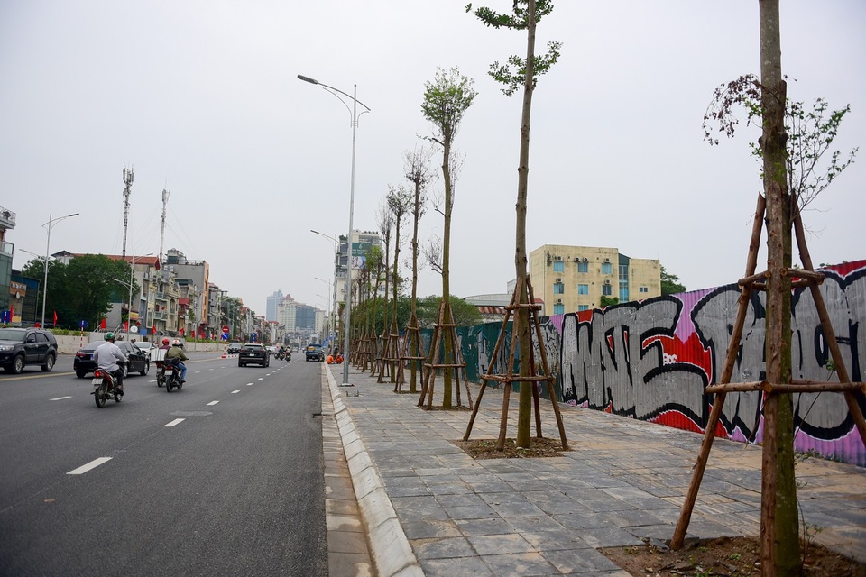Hà Nội thông xe cầu vượt An Dương sau 10 tháng thi công - 12 Dọc đường được trồng cây.