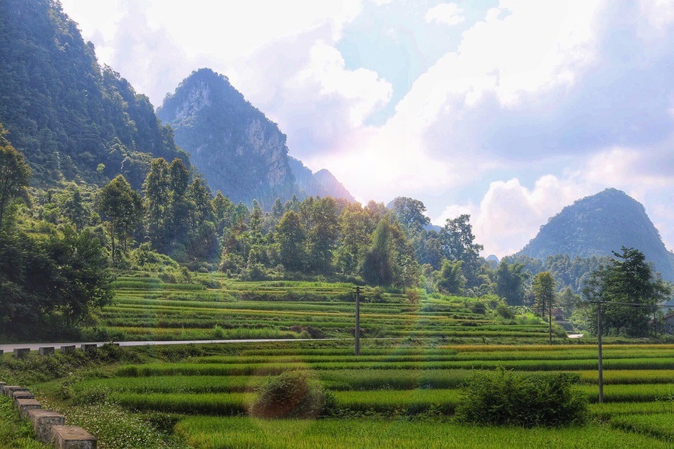“Thiên đường mùa thu” ở Việt Nam nhất định phải ghé thăm tháng 10 này - 6 Cảnh sắc đẹp nên thơ nhưng không kém phần hùng vĩ ở Cao Bằng. Ảnh: Thanh Thúy