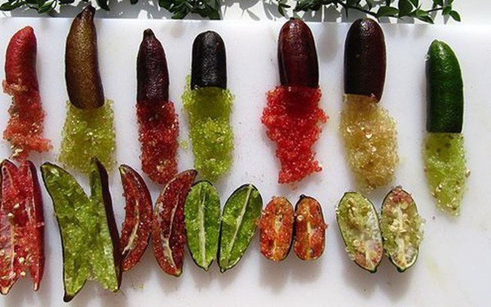 Chanh ngón tay có hương vị lạ giá 3,5 triệu đồng/kg - 4 Chanh ngón tay có hương vị lạ giá 3,5 triệu đồng/kg - 4