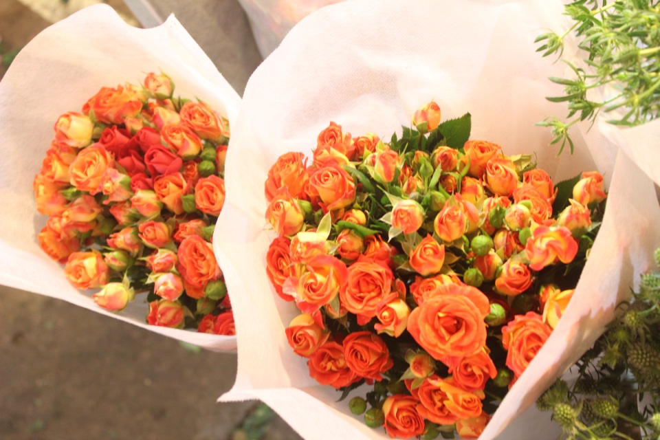 Chưa tới lễ 20/10, hoa hồng tại chợ Quảng Bá đã tăng vài giá - 11 Hồng tỉ muội