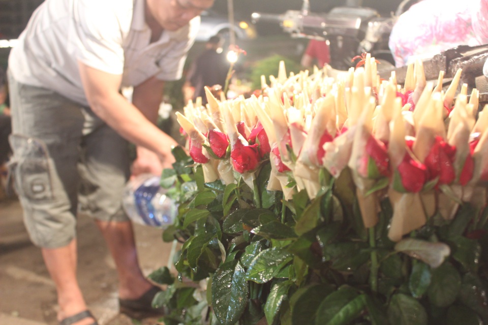 Chưa tới lễ 20/10, hoa hồng tại chợ Quảng Bá đã tăng vài giá - 7 Hoa hồng Mê Linh có bông nhỏ