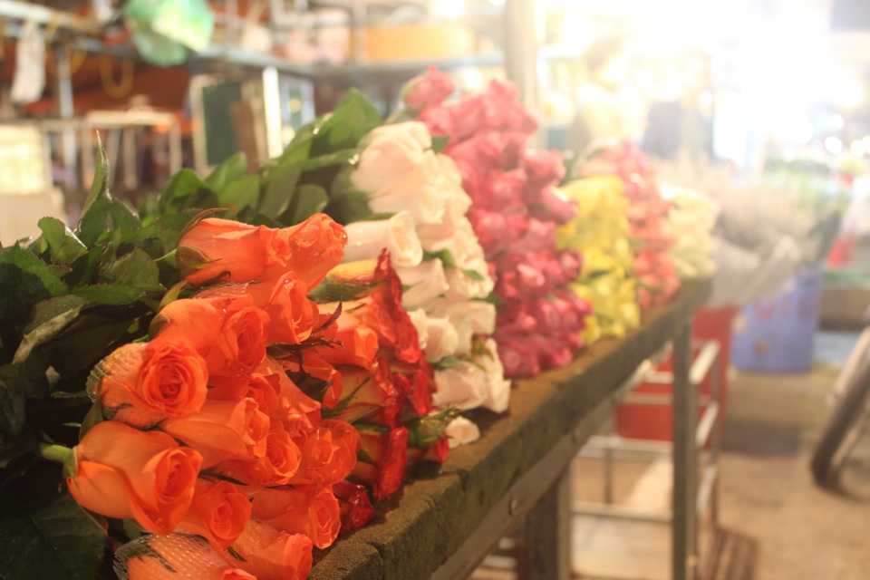 Chưa tới lễ 20/10, hoa hồng tại chợ Quảng Bá đã tăng vài giá - 9 Chưa tới lễ 20/10, hoa hồng tại chợ Quảng Bá đã tăng vài giá - 9